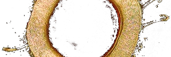 nostriluu Profile Banner