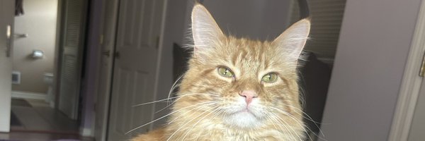 IrisJordan_ Profile Banner