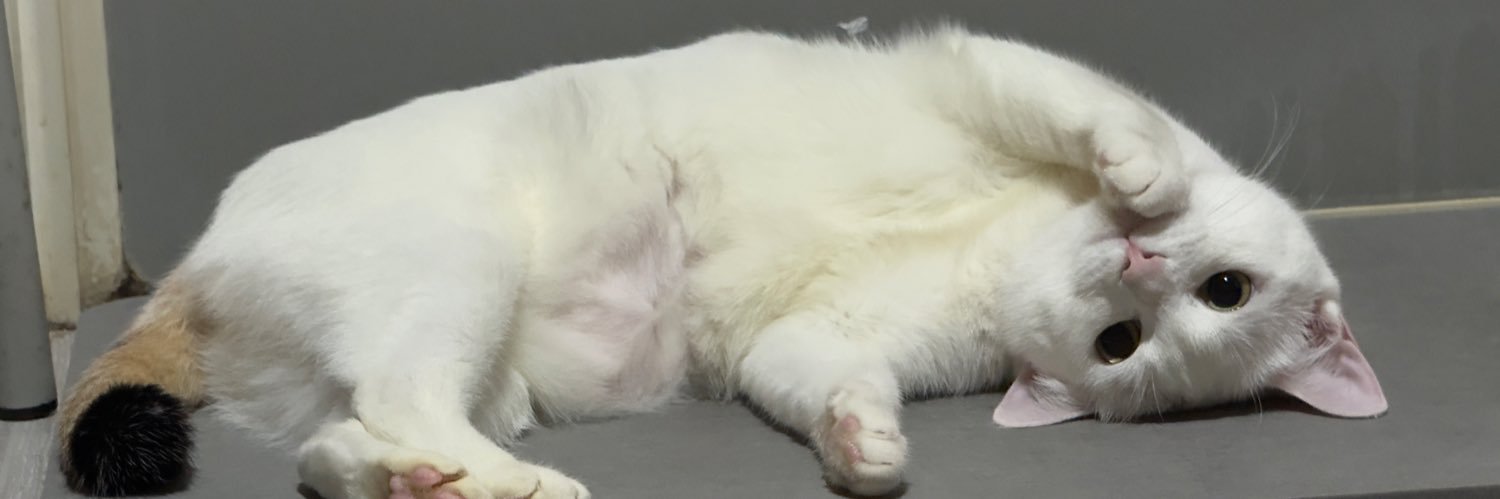 kikinskyy's profile banner image
