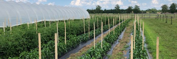 hortfarming Profile Banner