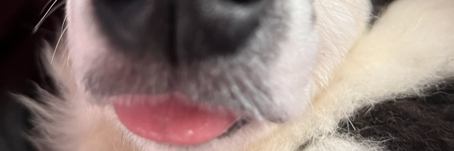 visintluli's profile banner image