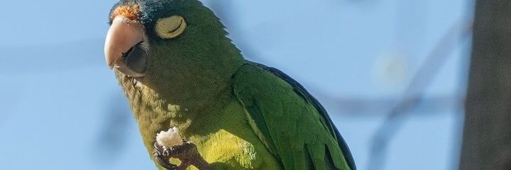 Kevindroide's profile banner image