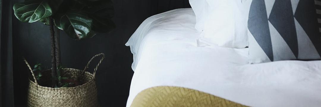 sansued's profile banner image