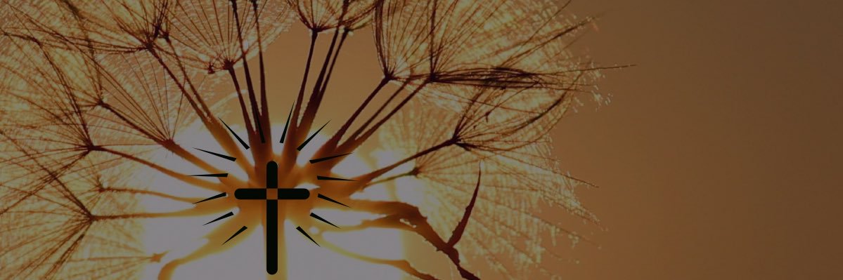 MarviaL's profile banner image