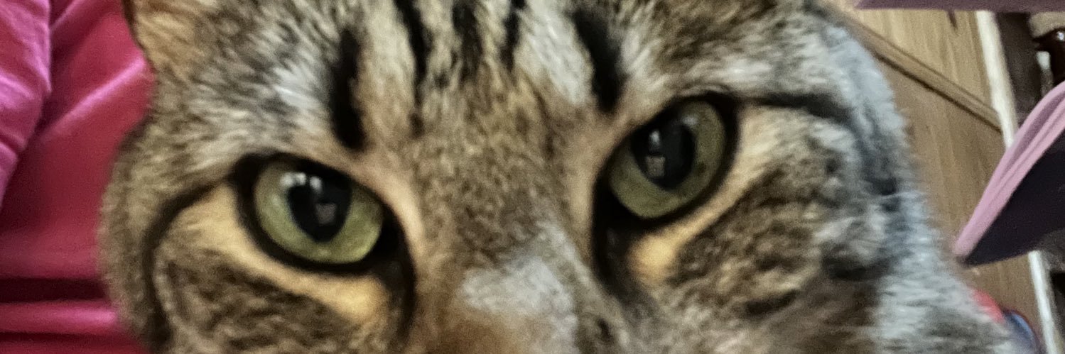luu1s__'s profile banner image
