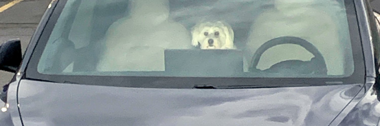 ltipto1's profile banner image