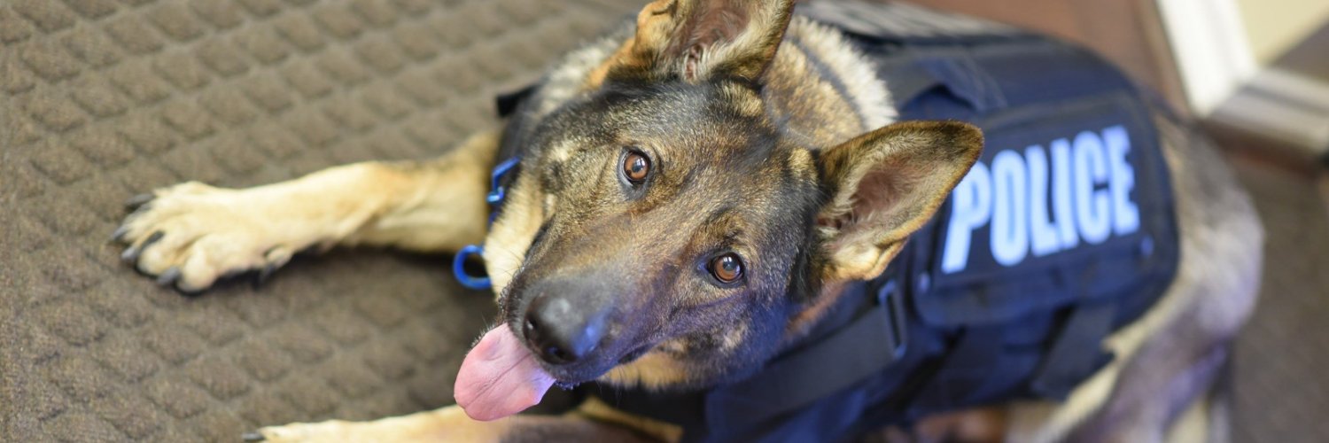 FULSHEAR POLICE banner