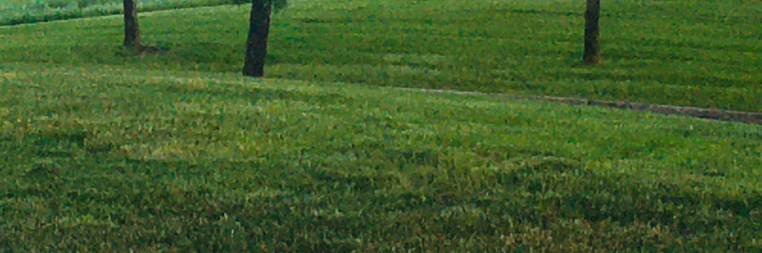Dr_J_Stranger's profile banner image