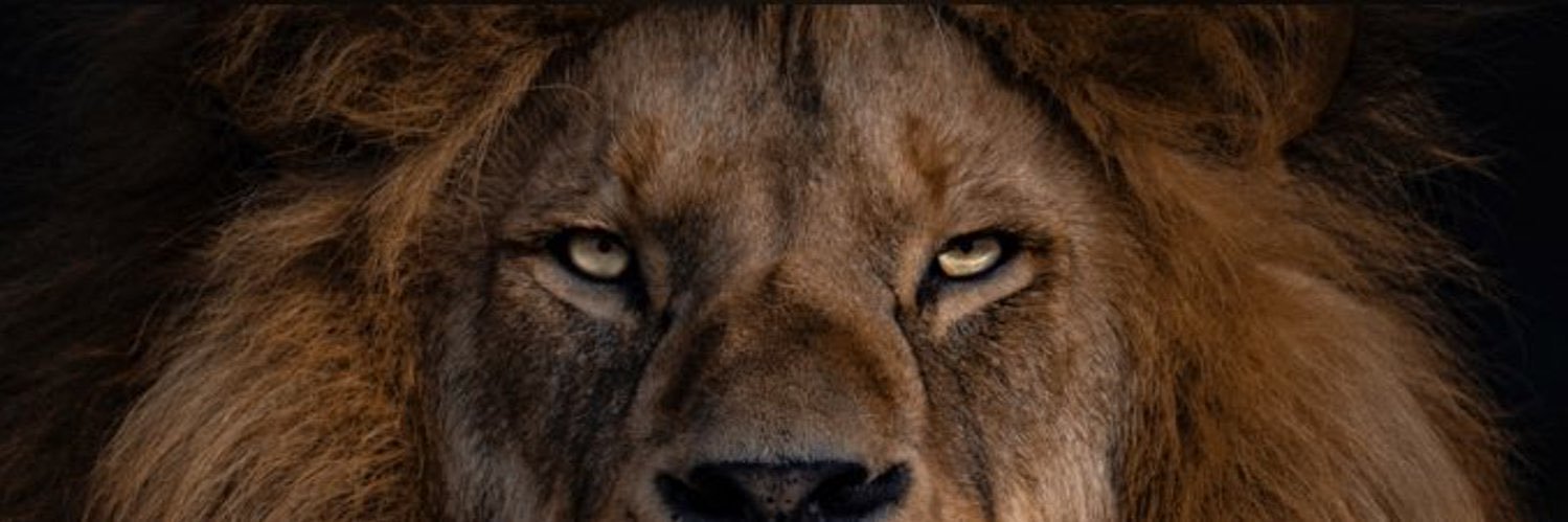 Trevon “TW” williams banner