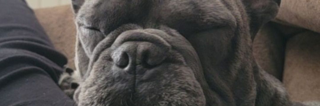 Sandy_l94's profile banner image
