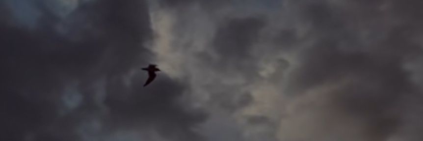 Rnrrnn_2000's profile banner image