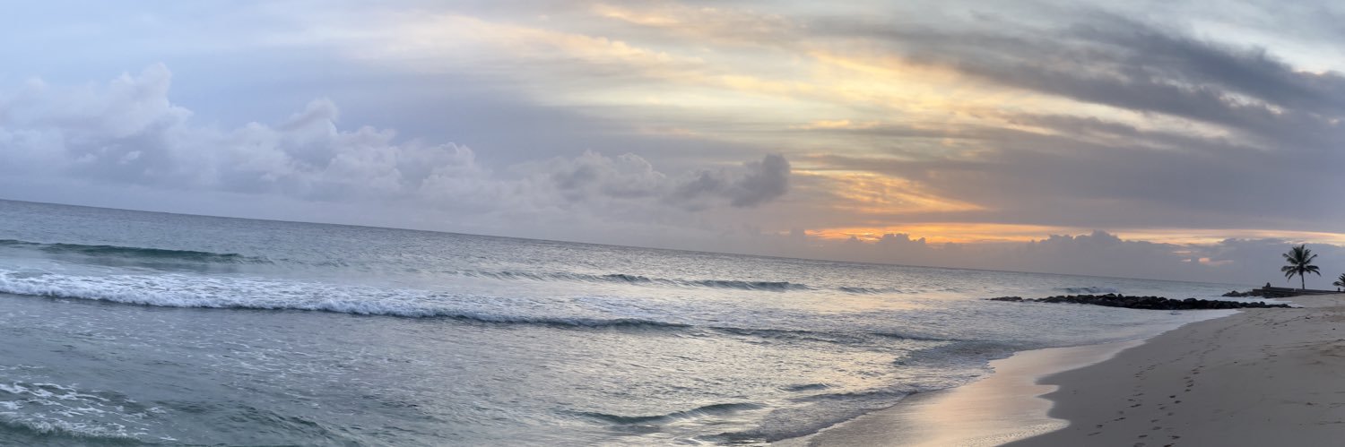 Audrey Dorélien banner