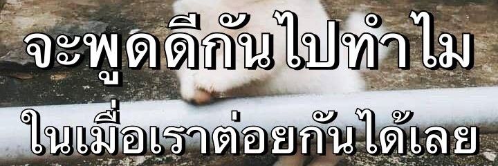 พกจกพ||| ENHYPEN IS 7 banner