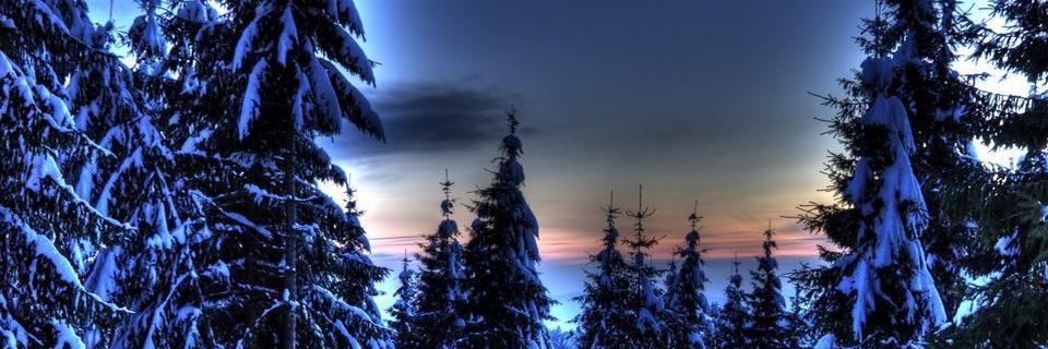 VladimirSWK's profile banner image