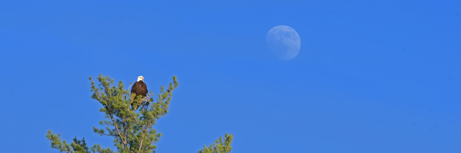 PhotoAngler21's profile banner image
