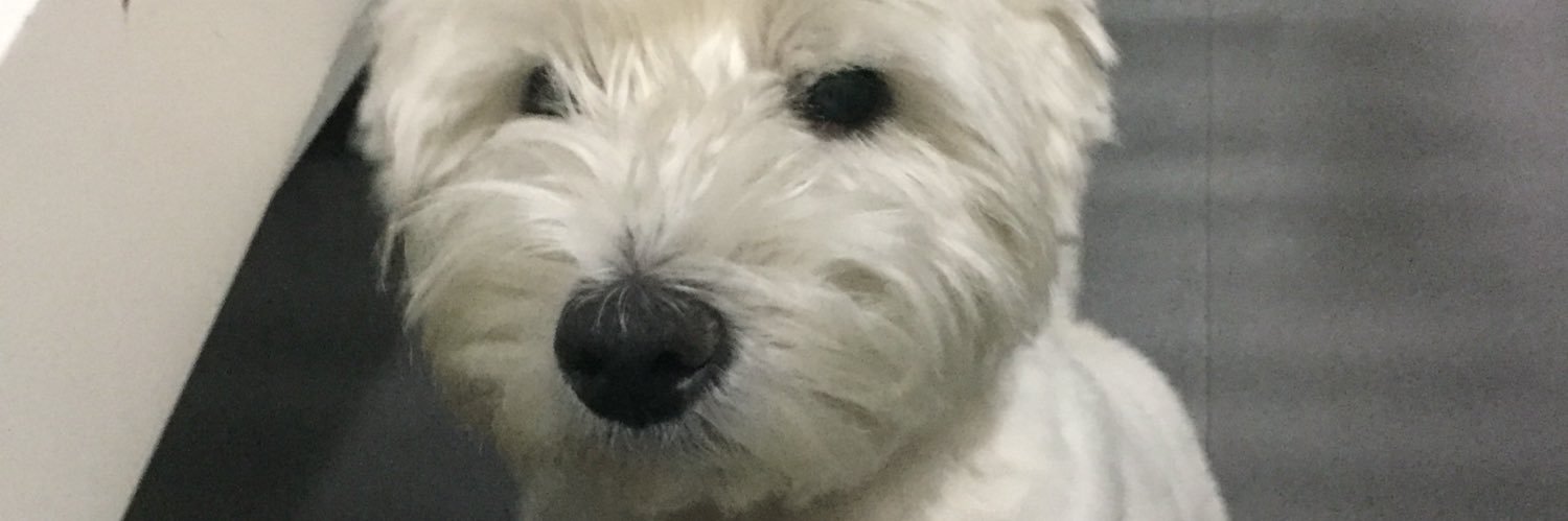 jstAFuckingFan's profile banner image
