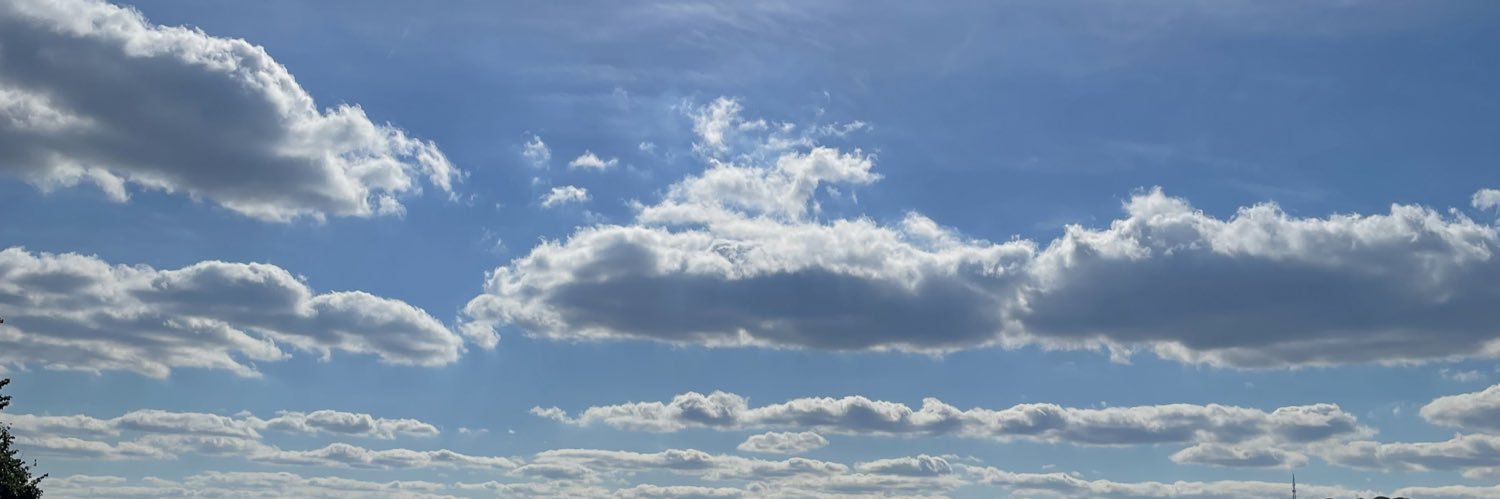 opistachio🥑 banner