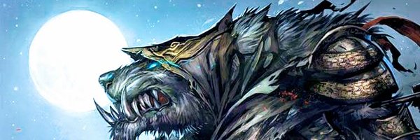 Wolf1Catalyst Profile Banner