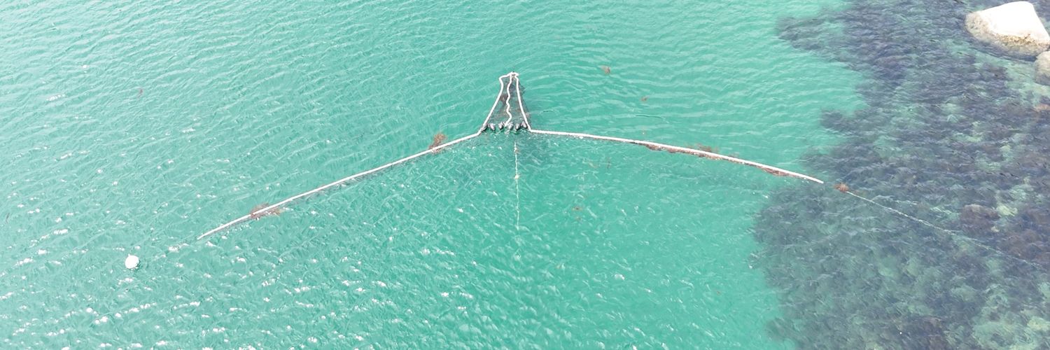 NPO法人クリーンオーシャンアンサンブル banner