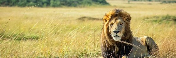 MAminAbdirizack Profile Banner