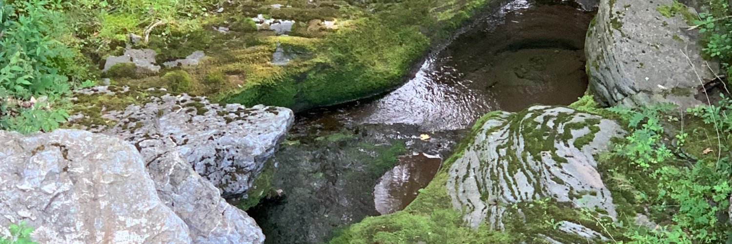 jilliancs's profile banner image