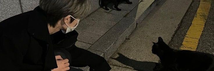 markiess99's profile banner image