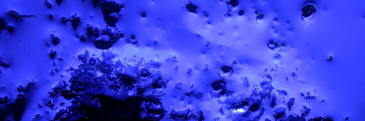 Matt Marks (aka JonBenét Gramsci) banner