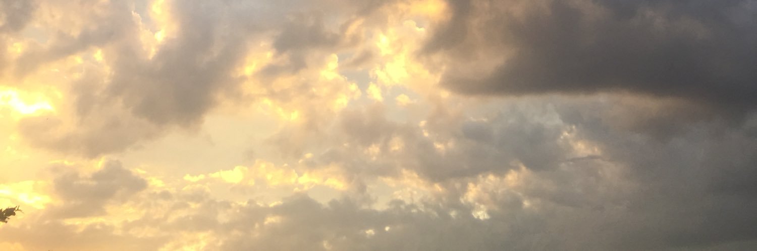 Theflaling's profile banner image