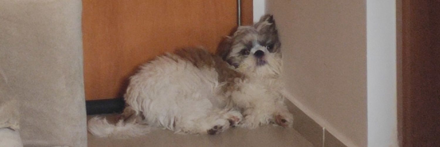 chpttkkl's profile banner image