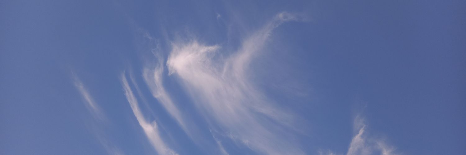 CottCandii's profile banner image