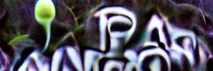 boomercrypto2 | Excom Society Ambassador 🐳 $BLUAI banner