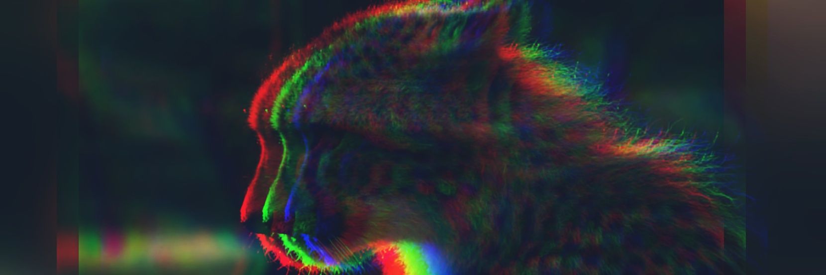 Kirovski_R's profile banner image