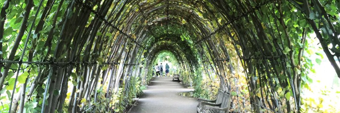 Lariah Edwards, PhD banner