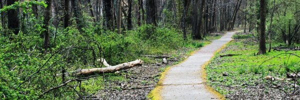 BrianEngler Profile Banner