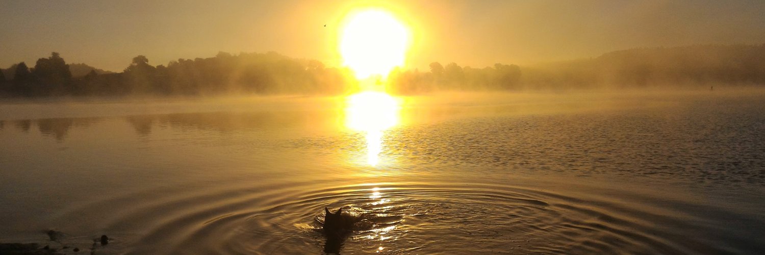 Le_chien_fou banner