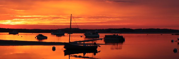 Ms_StonesTweets Profile Banner