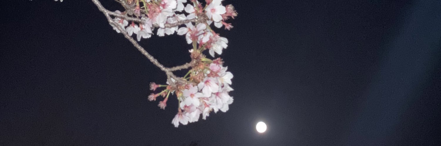 kenta_441k's profile banner image