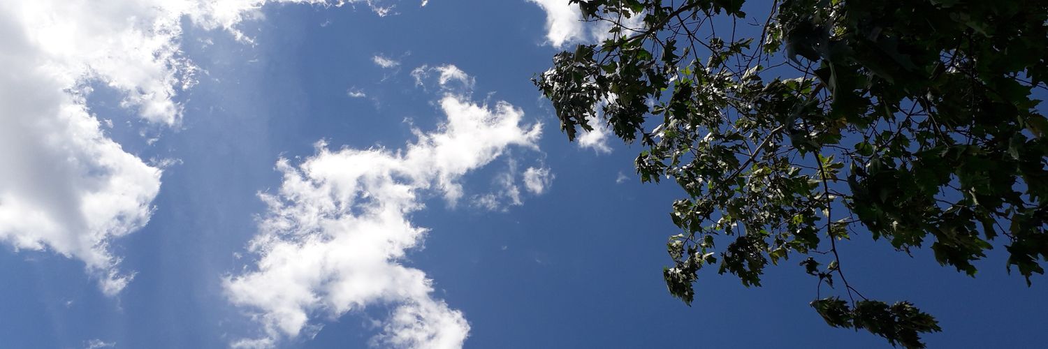 lgeroh's profile banner image