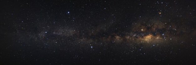 Joey banner
