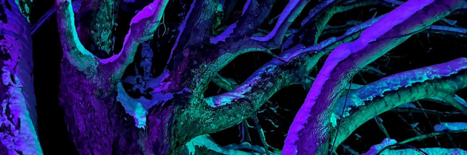 lilibat's profile banner image