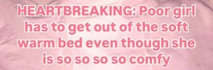 fran 🏳️‍⚧️ banner