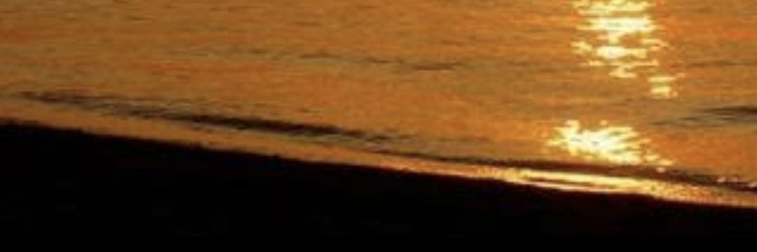SHIN696969's profile banner image