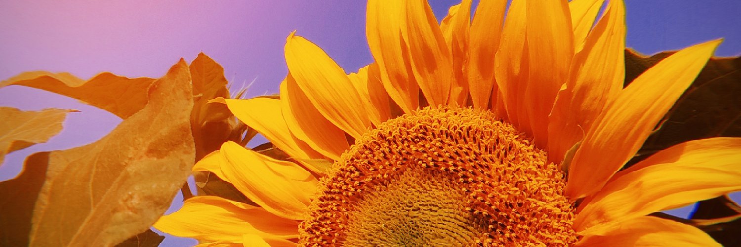 AstiOkt's profile banner image