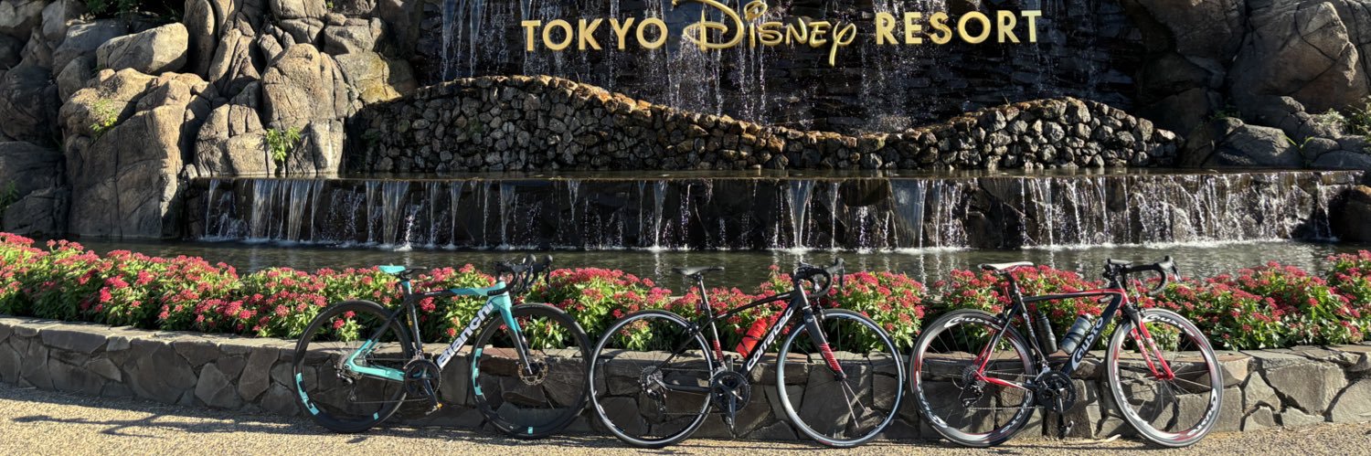 猫耳ちゃん🐈 banner