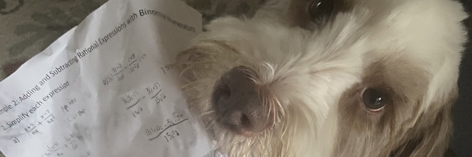 Mechsta.drp DAY 1 PODKOLZIN FAN banner