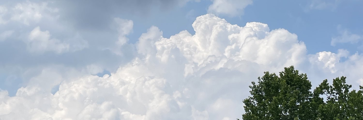 dandelion_oO's profile banner image