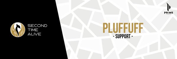 Pluffi3 Profile Banner
