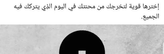 ابو الروض banner