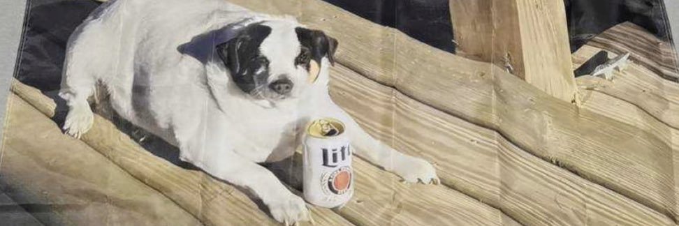 Carlos Garcia banner