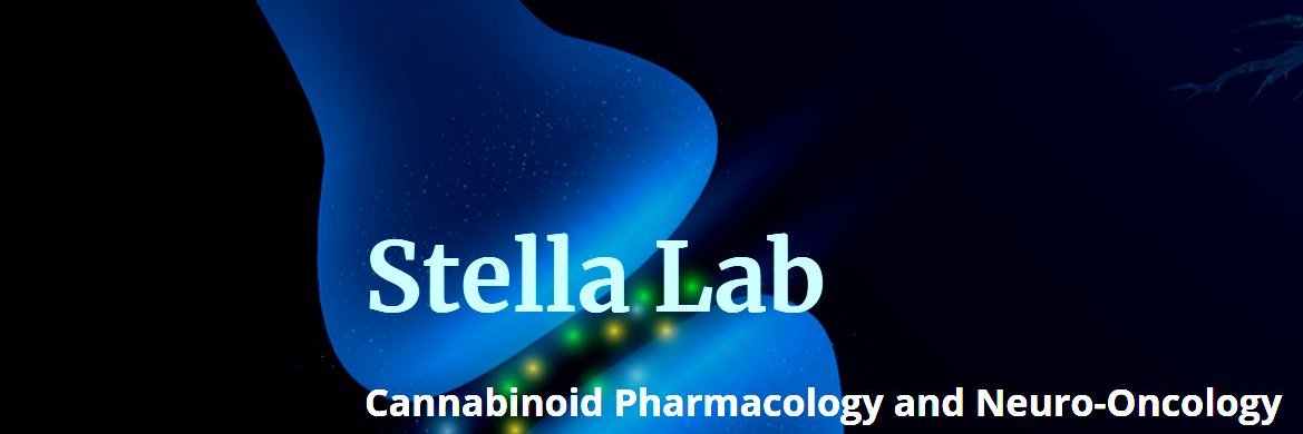 Lab of Dr. Nephi Stella, University of Washington's banner